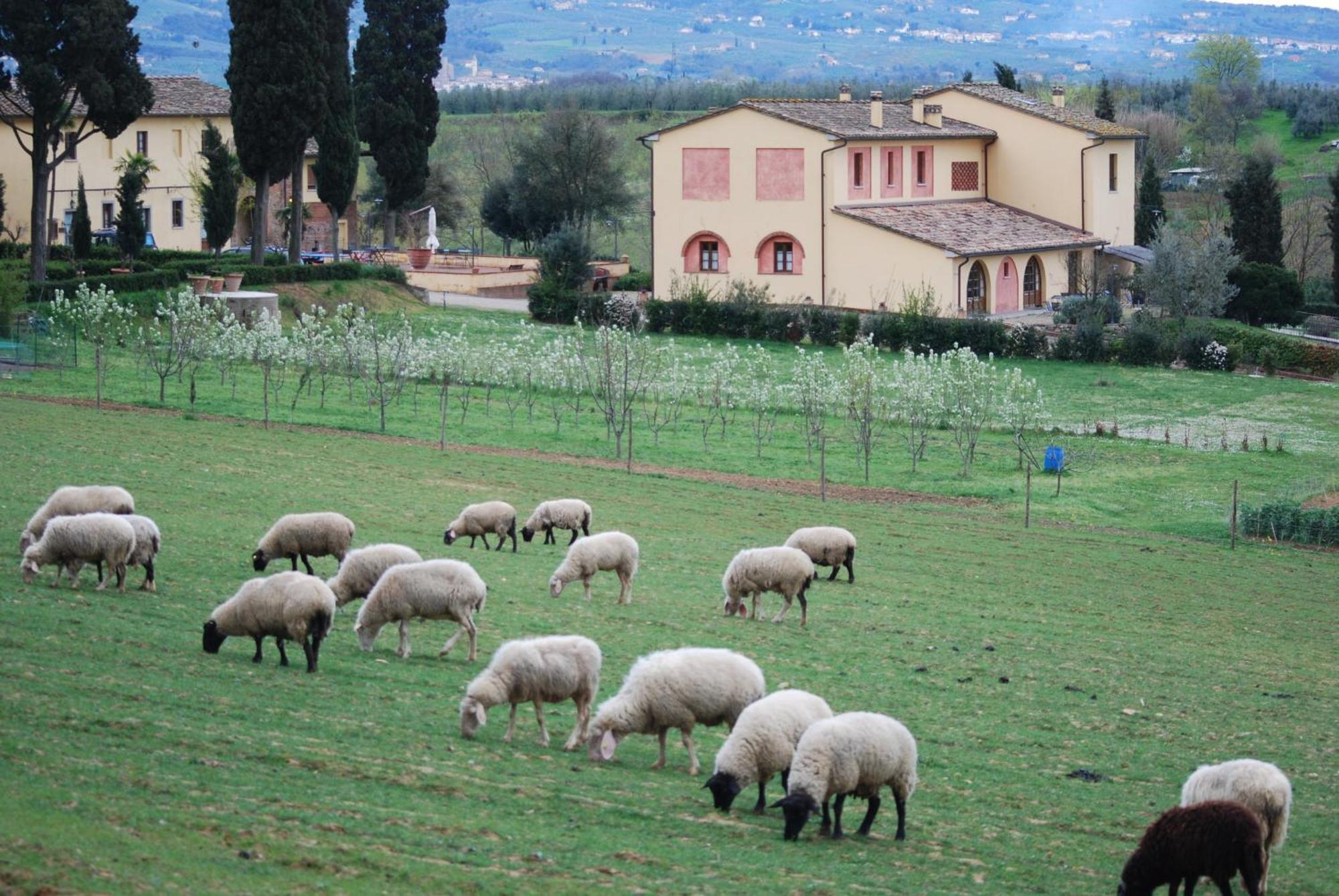 Agriturismo Fattoria Rozzalupi Черрето-Гуїді Екстер'єр фото